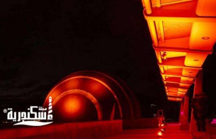 مكتبة الإسكندرية تحذر: 58% من النساء يتعرضن للعنف الرقمي.. والمجلس القومي للمرأة: القانون يتصدى للابتزاز والتحرش الإلكتروني