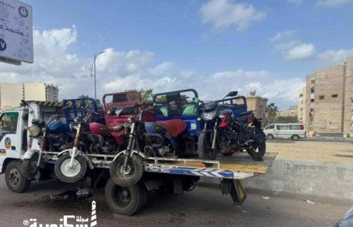 مرور الإسكندرية يكثف حملاته بـ 18 منطقة لضبط المخالفات وحجز "التكاتك" و"الموتوسيكلات" المخالفة