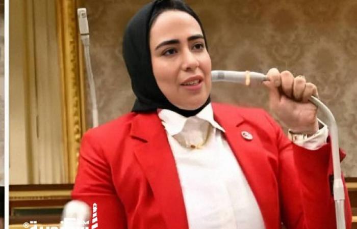 النائبة سارة النحاس تتقدم بطلب إحاطة بشأن سوء إدارة ملف التصالح على تحويل الوحدات من سكني إلى إداري بالإسكندرية