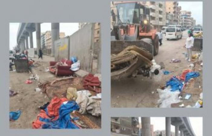 محافظ الإسكندرية يوجه برفع كفاءة المظهر الجمالي.. وحملة مكبرة لملاحقة "النباشين" بالمنتزه ثان