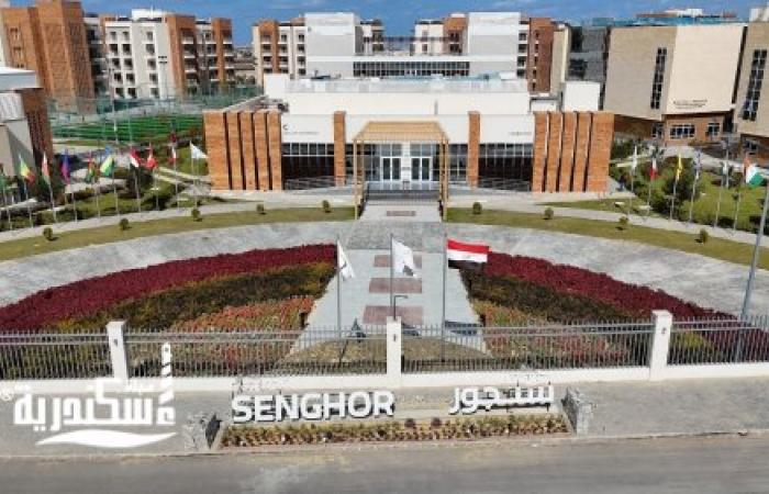 “المستقبل لإفريقيا”.. جامعة سنجور تطلق ساحة الفرص المهنية لربط الشباب بسوق العمل