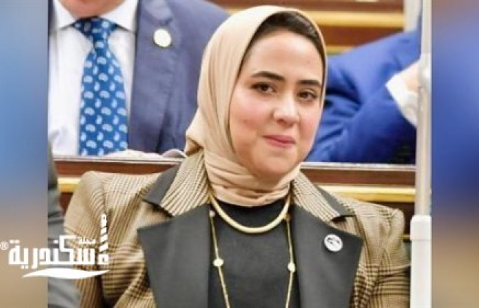 طلب إحاطة برلماني ينتقد “سعر الكهرباء الموحد” ويطالب بحماية محدودي الدخل