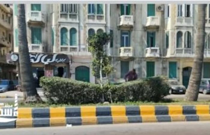 تجميل وتحذير.. حي الجمرك يواصل دهان بلدورات الكورنيش وإنذار الممتنعين عن استكمال ملفات التصالح