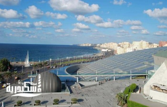 ساحة الحضارات بمكتبة الإسكندرية... منارة السلام 12 شجرة زيتون تزيّن قلب "ساحة الحضارات" في عروس البحر