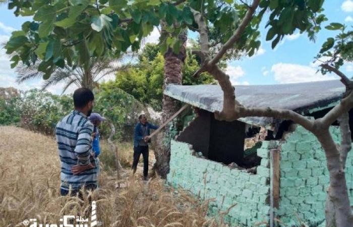 حي العامرية أول تقود حملة للتصدى لأعمال البناء المخالف ضمن أعمال الموجه ٢٩ المرحلة الأولي لإزالة التعديات