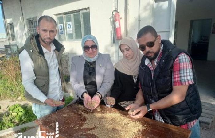 ضبط ١١ طن قمح قبل تهريبهم الى السوق السوداء  و ضبط تصرف ٨٢ شيكارة دقيق بلدى بأحد المخابز