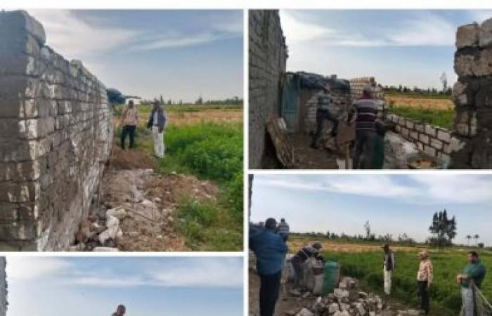 حي العامرية أول يُحبط محاولات بناء مخالف على الأراضي الزراعية بـ "قرية حارس"