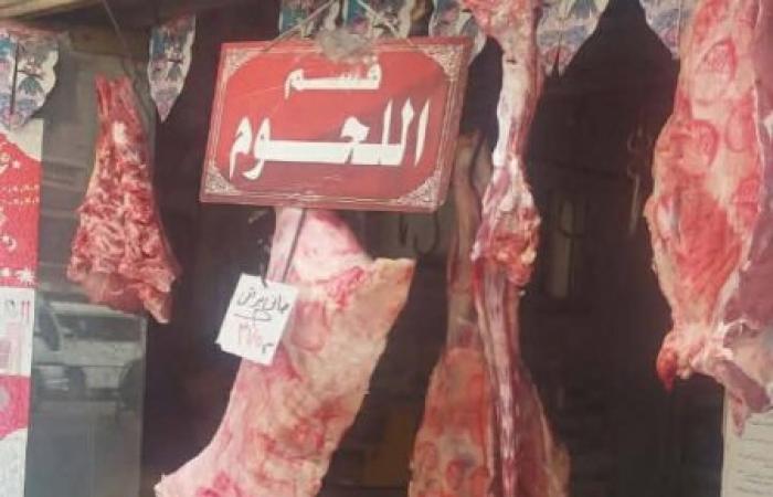 بـ 9 قطاعات تموينية.. الإسكندرية تستعد لعيد الأضحى بتخفيضات تصل لـ 30% وضخ لحوم تبدأ من 180 جنيهاً