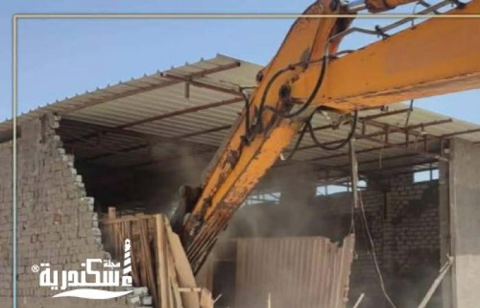 تنفيذًا لتوجيهات المحافظ.. الإسكندرية تنتفض ضد البناء المخالف بـ "المتغيرات المكانية" وإزالة تعديات بمساحات شاسعة