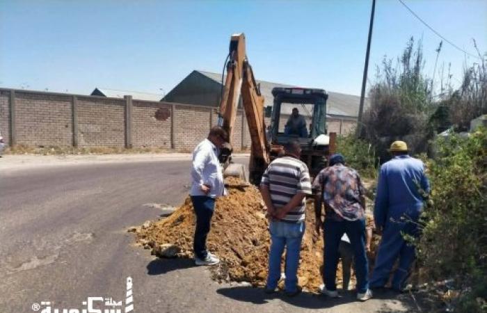 حي العجمي يواصل المتابعة الميدانية لأعمال الصيانة اللازمة لمختلف المرافق بنطاق الحى