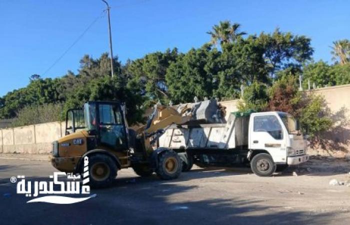 حي وسط يرفع 2 طنًا من مخلفات الرديم من شارع انوبيس بالتعاون مع شركة نهضة مصر