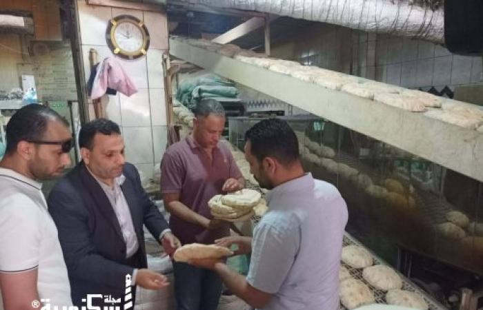 ضبط 97 جوال دقيق متصرف فيها وتحرير 30 محضراً في حملة تموينية مكبرة على مخابز الإسكندرية