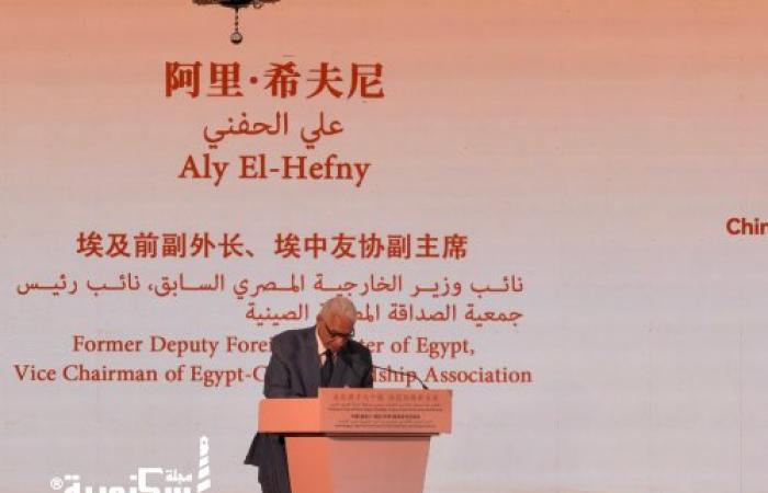 جمعية الصداقة المصرية الصينية تشارك في ندوة «مبادرة الحوكمة العالمية» وتؤكد أهمية تعزيز التعاون بين الصين ودول الجنوب العالمي