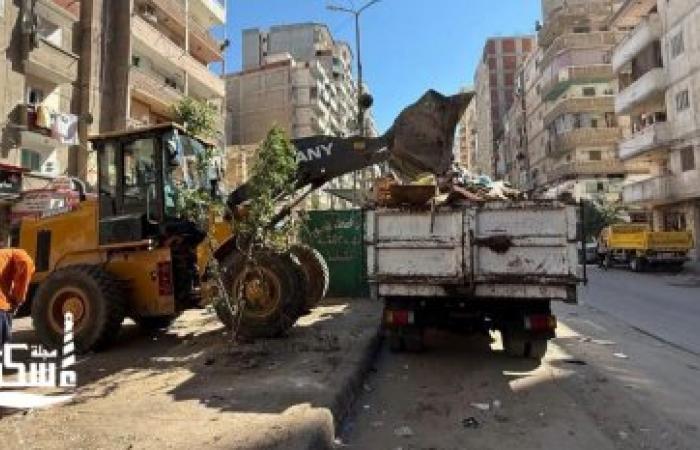 استجابةً لشكاوى "السوشيال ميديا".. حملة مكبرة تقضي على بؤر النباشين بسيدي بشر في الإسكندرية