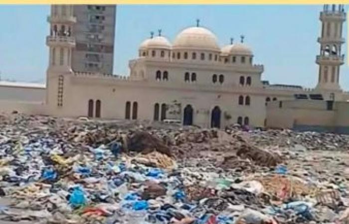 استجابة فورية لبلاغات السوشيال ميديا.. رفع 23 ألف طن مخلفات صلبة بأحياء الإسكندرية