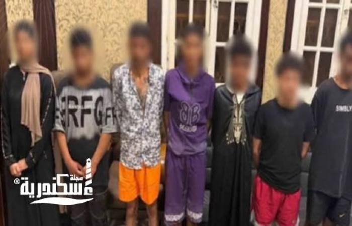 كشف ملابسات فيديو الأسلحة البيضاء بالإسكندرية: ضبط طرفي مشاجرة المنتزه ثان