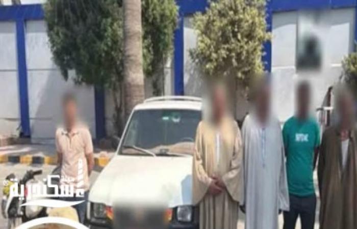 الأمن يكشف ملابسات فيديو "مطاردة سيارة ربع نقل" بالإسكندرية وضبط المتهمين