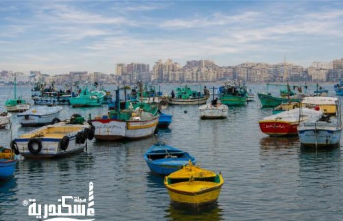 بحرى بعيون اسكندرية عدسة حسين أبايزيد