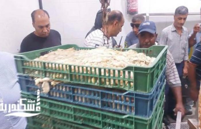 ضبط 1.450 طن من اللحوم والدواجن والتوابل غير الصالحة للاستهلاك داخل منشأة مخالفة بحي الجمرك