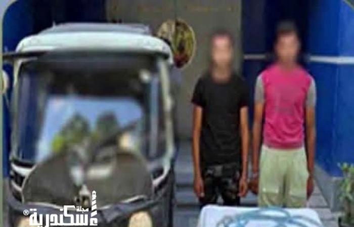 ضبط متهمين بسرقة أسلاك كهربائية من محطة البحوث الزراعية بمريوط في الإسكندرية