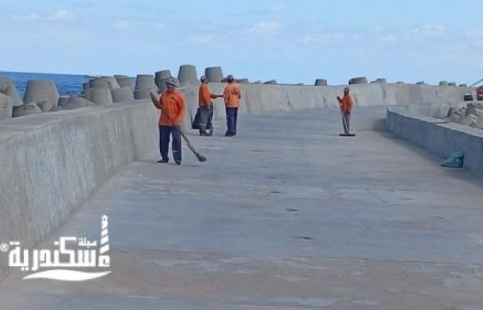 جهود مكثفة بحي الجمرك في الإسكندرية: حملات نظافة موسعة وغسيل الأرصفة بالكورنيش ومحيط قلعة قايتباي