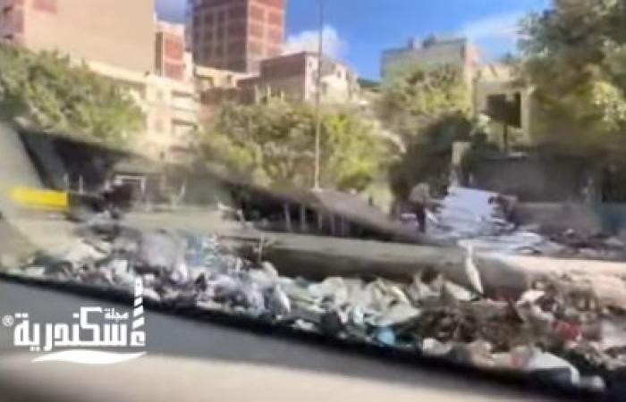 أزمة متصاعدة في جامعة الإسكندرية الأهلية: طلاب وأولياء أمور يطالبون بتدخل عاجل لحل المشكلات المتراكمة