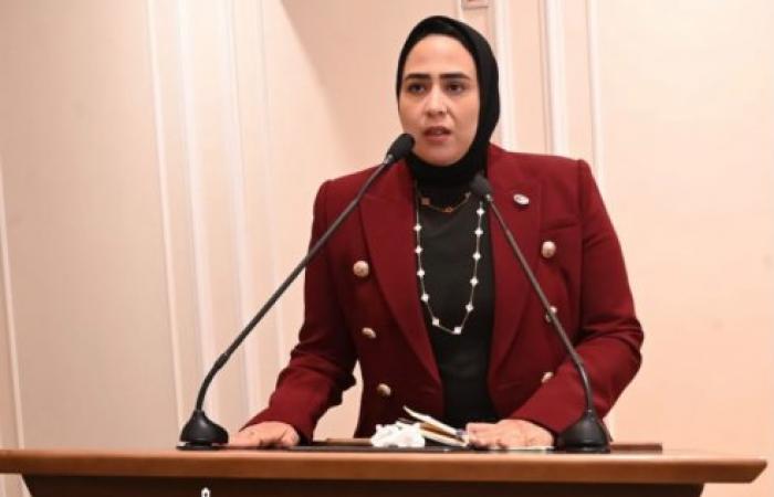 طلب إحاطة بالبرلمان: تطوير التعليم لا يعني زيادة المحتوى.. ومطالب بمراجعة مناهج الصفوف الأولى