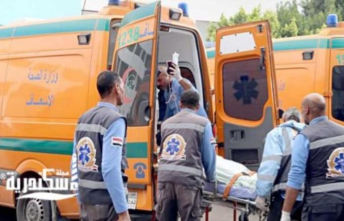 حبس عامل خردة قتل زميله بسبب خلاف على أموال البيع في الإسكندرية