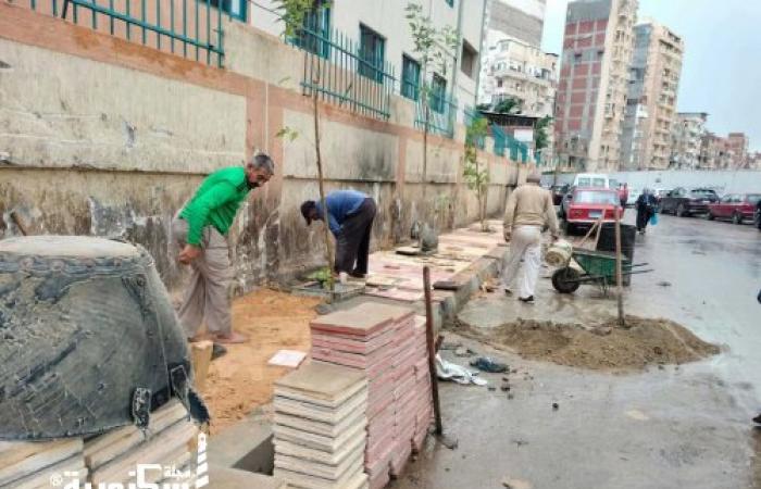 ضمن خطة الارتقاء بالمظهر الحضاري.. حي شرق الإسكندرية يطور محيط مدرسة عباس العقاد بعزبة سعد