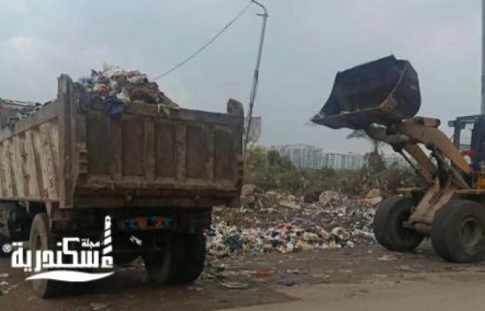 حملات مكثفة لرفع المخلفات والأتربة بحي ثان المنتزه في الإسكندرية