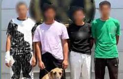 ضبط 4 أشخاص وُبحوزتهم كلب اعتدوا على المارة وأثاروا الذعر في الدخيلة بالإسكندرية