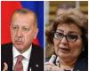 وكيل حقوق إنسان البرلمان تنتقد تصريحات اردوغان عن الوضع في مصر
