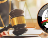 نيابة "برج العرب" تطلب التقرير الفني للميكروباص المقلوب بترعة القطعان بالإسكندرية