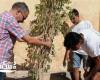 ضمن مبادرة "اتحضر للأخضر".. شباب ورياضة الإسكندرية تزرع 50 شجرة مثمرة