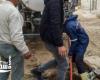 محافظ الإسكندرية يشدد على استمرار رفع درجة الاستعداد القصوى تحسبًا للنوات