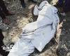 العثور على جثة طفل رضيع ملقاة بصندوق قمامة في العجمى غرب الاسكندرية