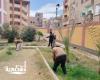 ضمن المبادرة الرئاسية "100 مليون شجرة"....زراعة 324 شجرة ونبتة بحدائق حي غرب