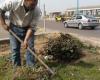 تنفيذ للمبادرة الرئاسية "زراعة 100 مليون شجرة" محافظ الإسكندرية يوجه برفع كفاءة الميادين والحدائق ويؤكد زراعة 246 ألف شجرة